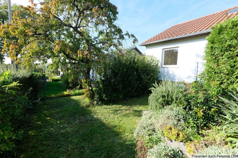 Garten nach Süden mit Baum