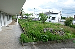 Garten zur Südwestseite