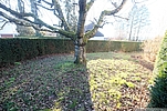 Garten Südseite Garten Südseite