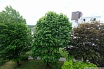 Blick vom Balkon Blick vom Balkon